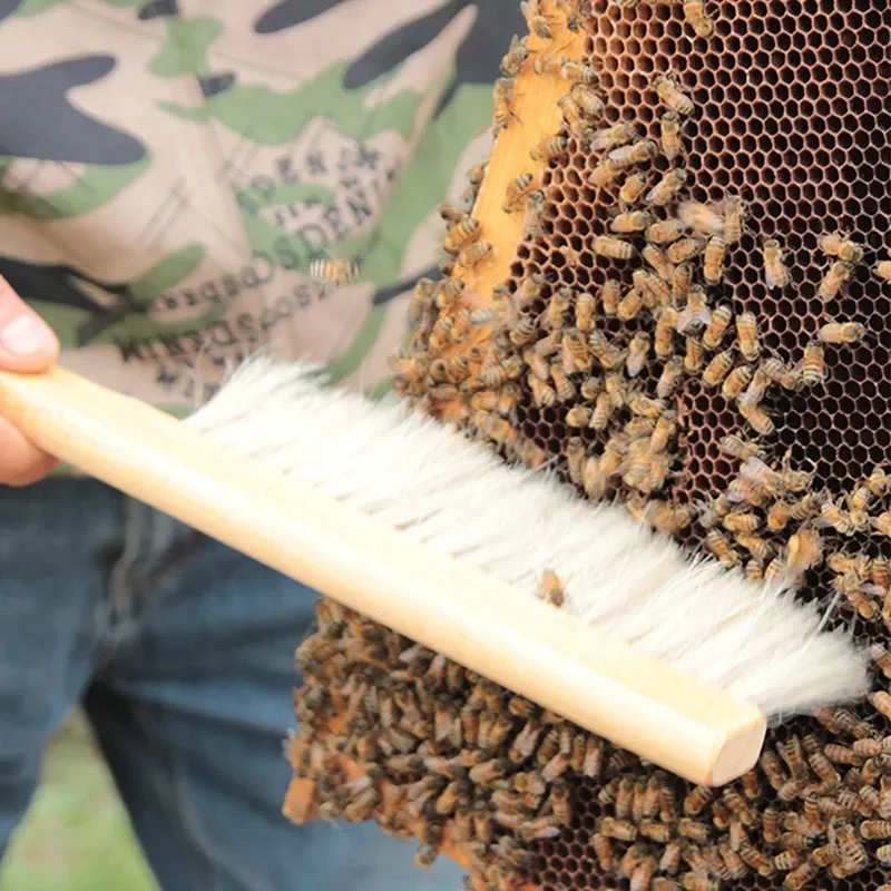 

Tools Wood Honey Brush Wasp bee Sweep Two Rows Of Horse Tail Hair New Bee Brush Beekeeping Equipment