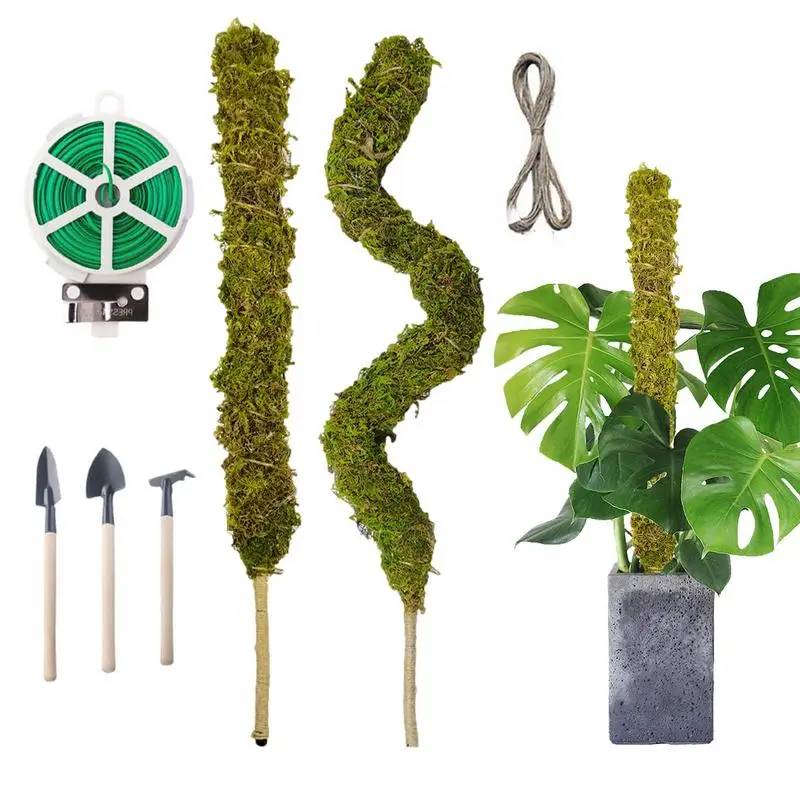 

Moss Pole Plant Stakes Handmade Plant Support Stakes Slim Moss Stick Potted Plants Stick Perfect For Small Medium Climbing