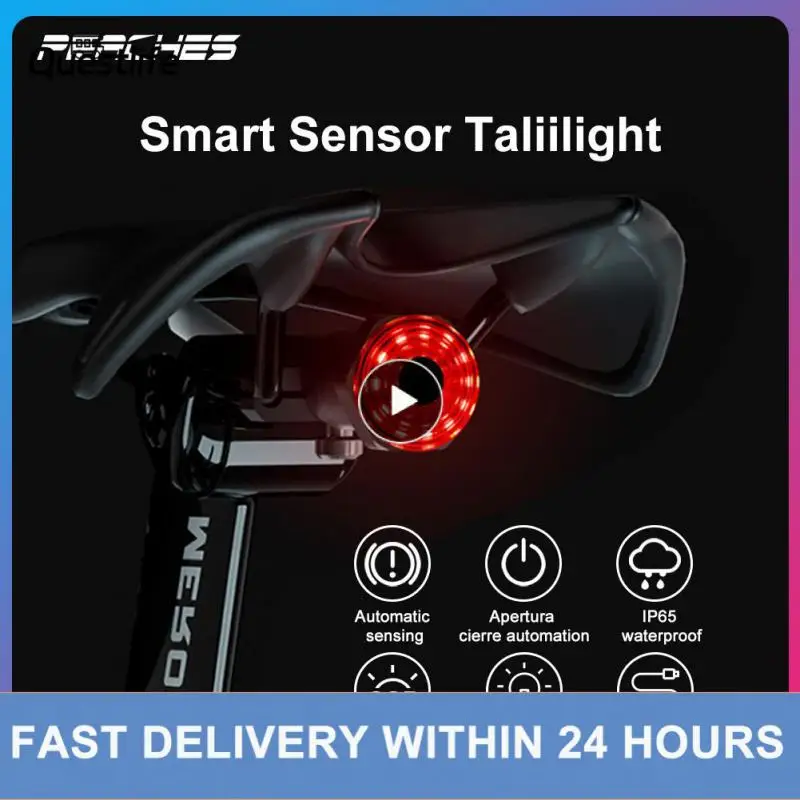 

100 Lumens Bike Taillight Waterproof Bike Tail Light USB Chargeable Mountain Bike Cycling Light Bicycle Accessories