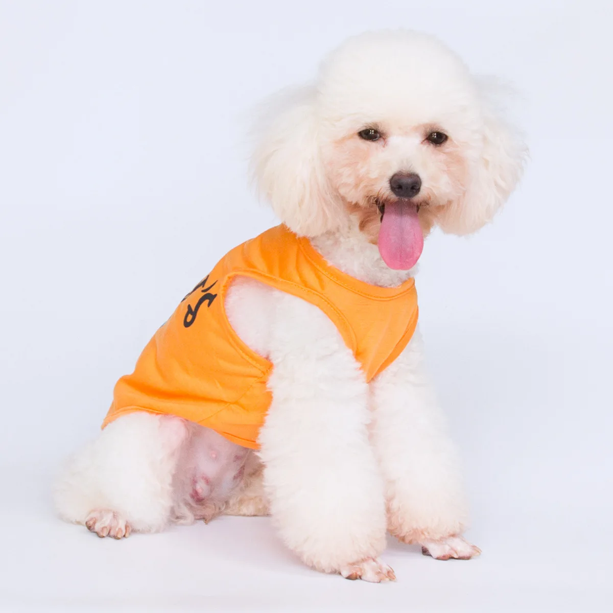 

Dog Vest Pet Supplies Dog Clothes Teddy Puppy Vest Puppy Clothes Dog Clothes for Small Dogs Ropa De Perro Dog Costume