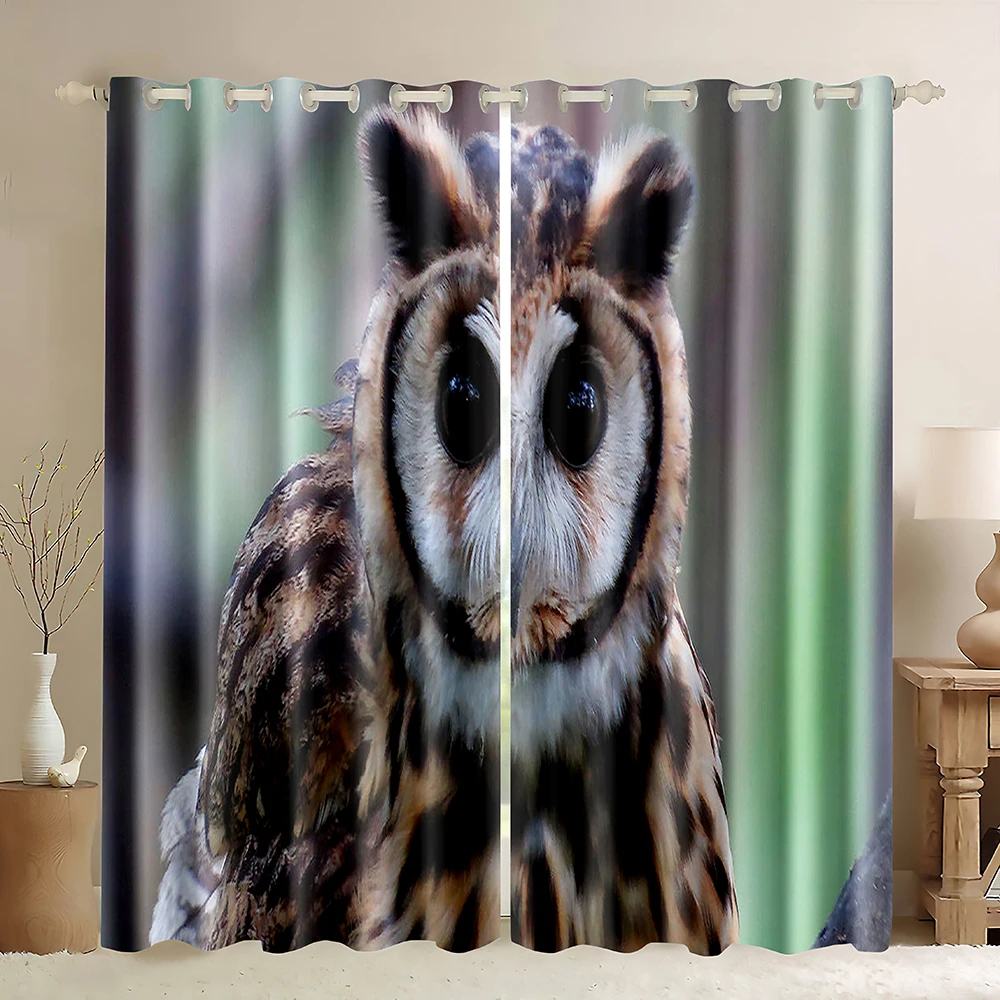Оконные шторы с совами красочные зеленые фоны в стиле каракулей совы затемняющие