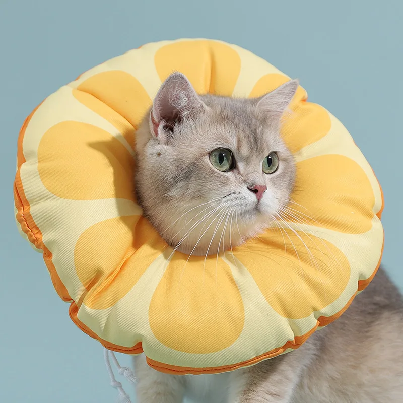 

Cat Elizabeth ring kitten anti-licking and biting shame collar headgear dog collar sterilization neck sleeve pet jewelry