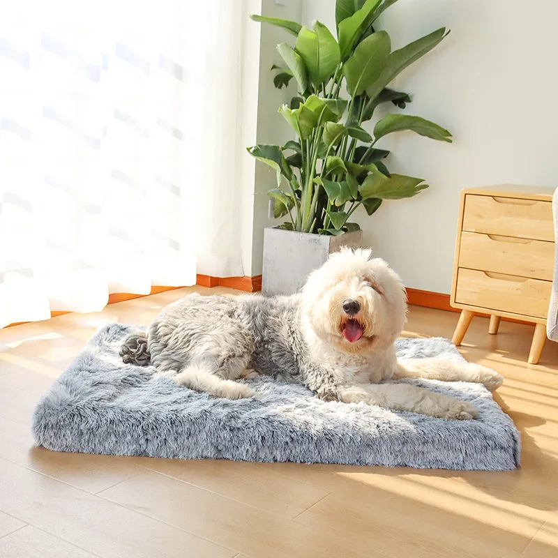 

Mats Orthopedic Dog Small For Rectangular / Plush Dog Foam Cushion Dogs Cat Pet Cover Large Ultra Bed Mattress Removable Deluxe