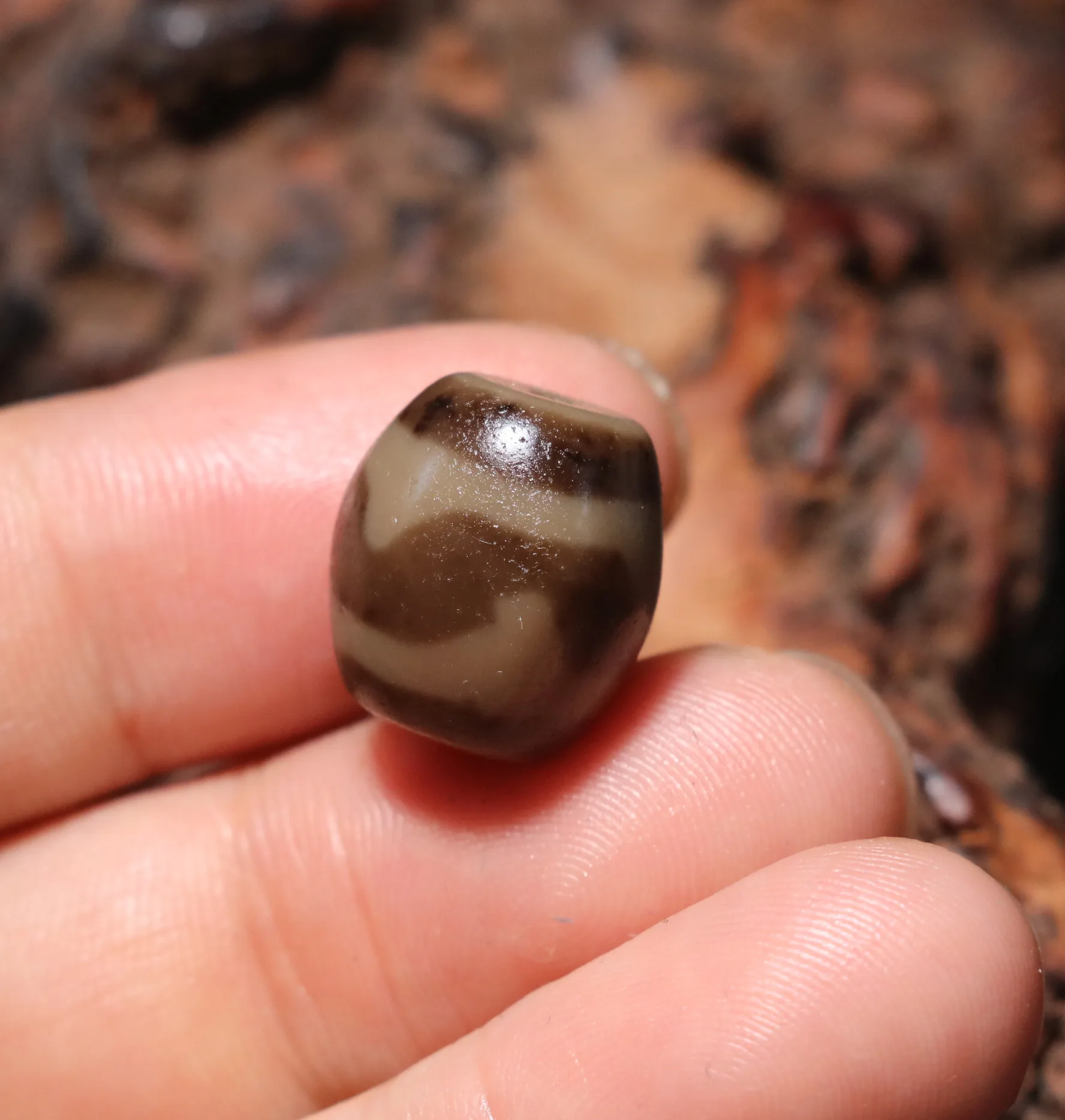 Энергетический тибетский старый агат патина цвета слоновой кости зуб тигра