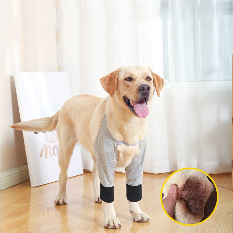 

Dog Elbow Brace Protector Anti-Lick Breathable Front Leg Knee Pads for Dogs Adjustable Relief Shoulder Support Elbow Sleeves Pad