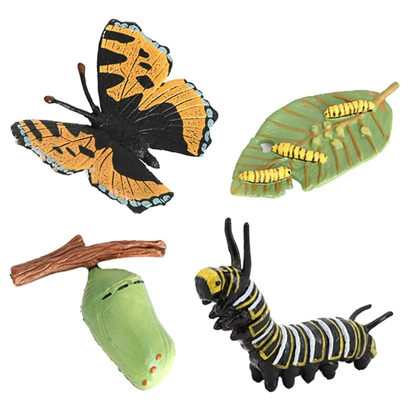 

-Life Cycle Of A Butterfly,Insects Life Cycles Growth Model Simulation Animal Growth Model Children's Educational Toys