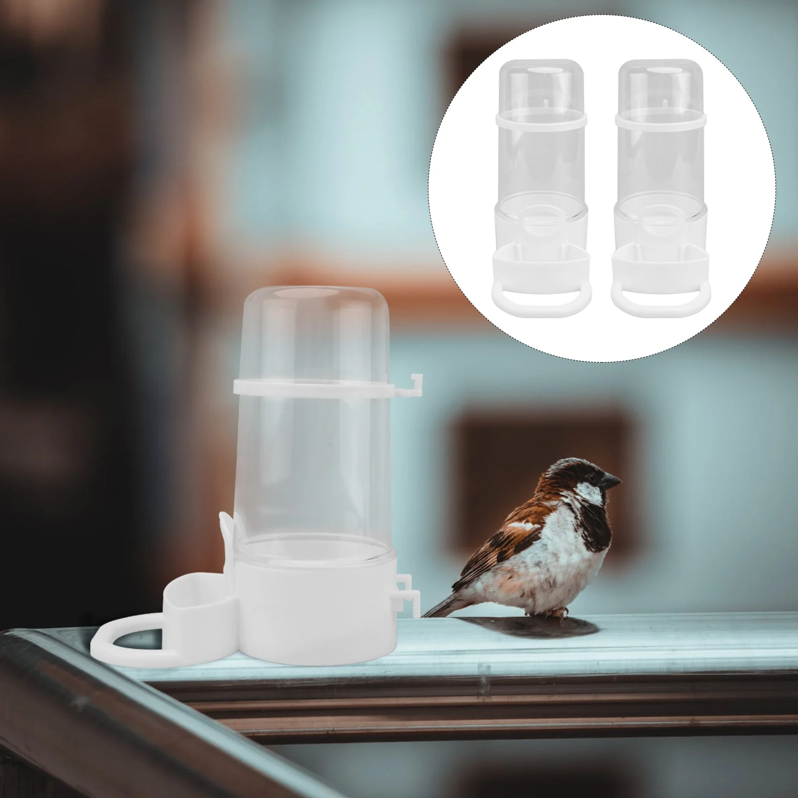 

Water Drinker Bird Feeder Poultry Chicken Cage Waterer Dispenser Drinkers Parrot Pigeon Quail Drinking Feeders Duck Feeding