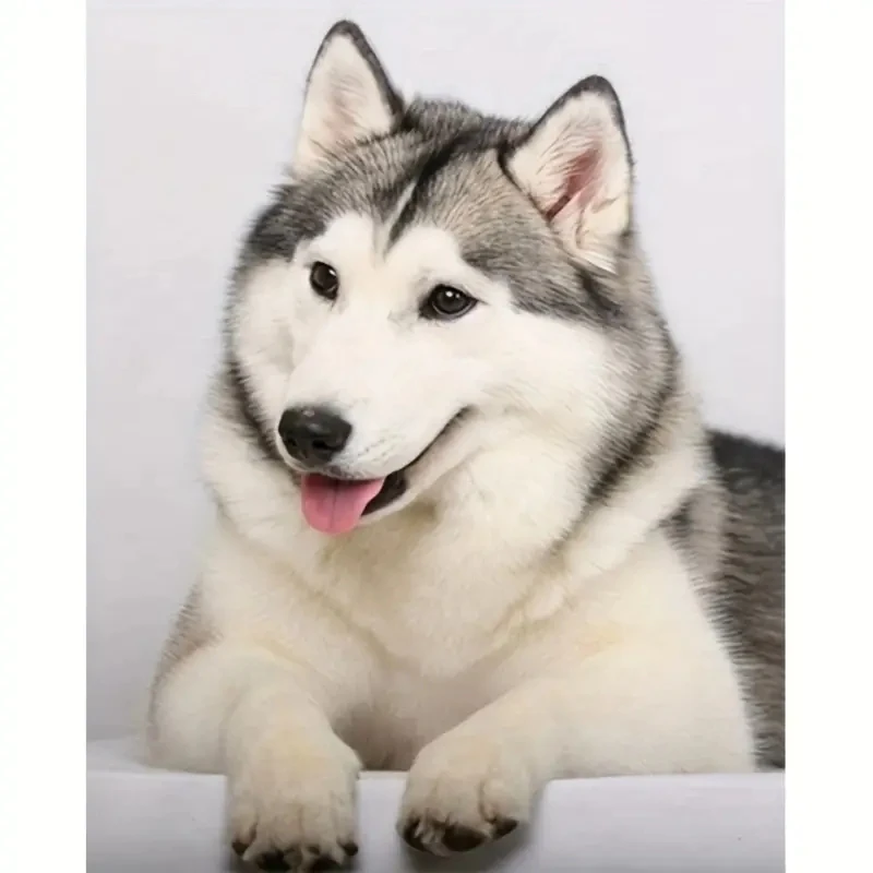 ΠΠ»ΠΌΠ°Π·Π½Π°Ρ 5D ΠΡΡΠΈΠ²ΠΊΠ° Β«ΠΌΠΈΠ»Π°Ρ Ρ
Π°ΡΠΊΠΈ ΡΠΎΠ±Π°ΠΊΠ°Β», ΠΌΠΎΠ·Π°ΠΈΠΊΠ° Π΄Π»Ρ ΡΠΈΡΠΎΠ²Π°Π½ΠΈΡ, ΡΡΡΠ½Π°Ρ ΡΠ°Π±ΠΎΡΠ°, ΠΈΠ½ΠΊΡΡΡΡΠΈΡΠΎΠ²Π°Π½Π½Π°Ρ ΠΆΠΈΠ²ΠΎΠΏΠΈΡΡ, ΡΠΊΡΠ°ΡΠ΅Π½ΠΈΠ΅ Π΄Π»Ρ Π΄ΠΎΠΌΠ° ΠΠ»ΠΌΠ°Π·Π½Π°Ρ 5D ΠΡΡΠΈΠ²ΠΊΠ° Β«ΠΌΠΈΠ»Π°Ρ Ρ
Π°ΡΠΊΠΈ ΡΠΎΠ±Π°ΠΊΠ°Β», ΠΌΠΎΠ·Π°ΠΈΠΊΠ° Π΄Π»Ρ ΡΠΈΡΠΎΠ²Π°Π½ΠΈΡ, ΡΡΡΠ½Π°Ρ ΡΠ°Π±ΠΎΡΠ°, ΠΈΠ½ΠΊΡΡΡΡΠΈΡΠΎΠ²Π°Π½Π½Π°Ρ ΠΆΠΈΠ²ΠΎΠΏΠΈΡΡ, ΡΠΊΡΠ°ΡΠ΅Π½ΠΈΠ΅ Π΄Π»Ρ Π΄ΠΎΠΌΠ°