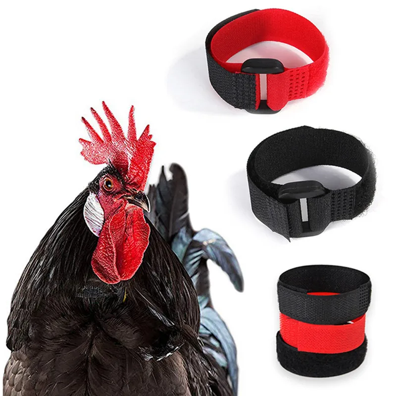 

2PCS No Crow Rooster Collar Chicken Collar Noise Free Anti-Hook Neckband Collars Supplies