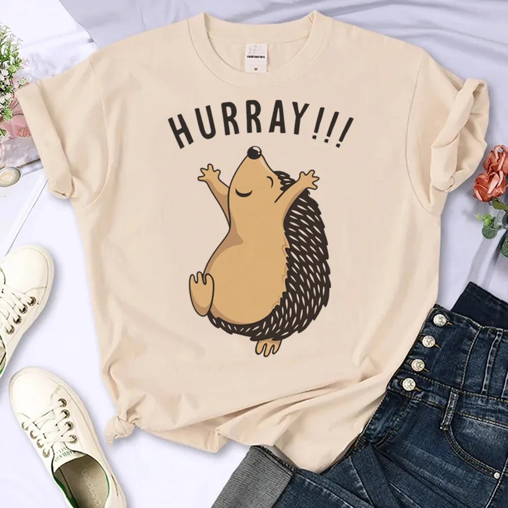 

Hedgehog tshirt women graphic comic Japanese tshirt female designer clothes