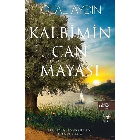 

My heart может ферментировать Clal просвещенные турецкие книги, новые художественные фиксации летом