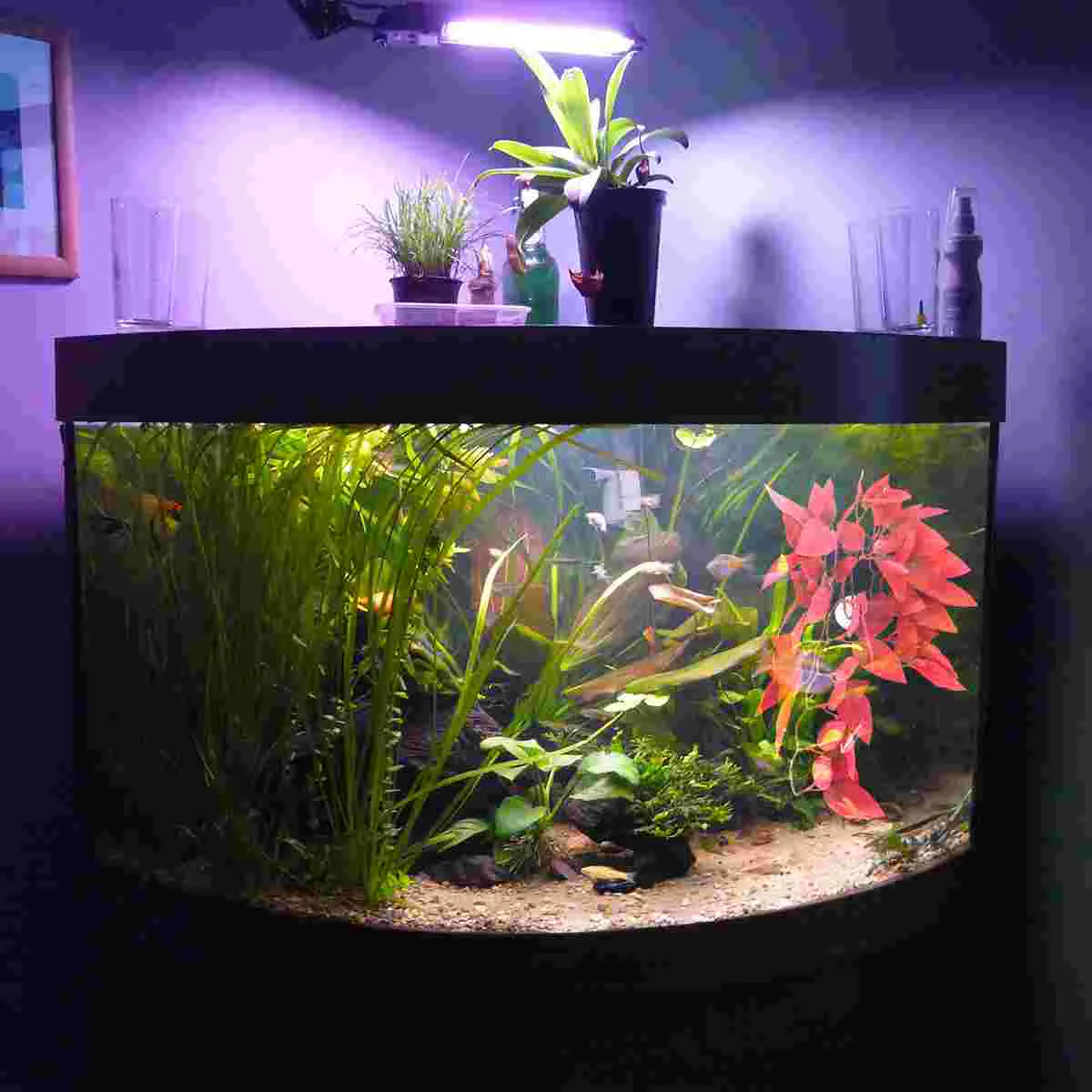 

Tank Reptile Aquarium Rattan Artificial Accessories Terrarium Decor Decorations Fake Decoration Aquariums Betta Home decor