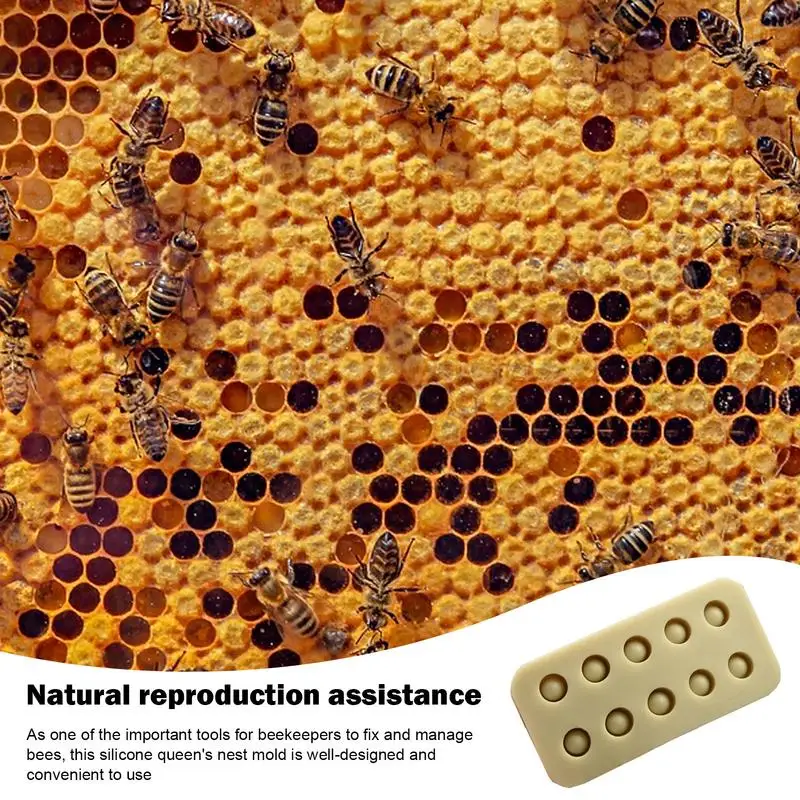 Силиконовые формы прививочные чашки для пчелиных маток многофункциональный
