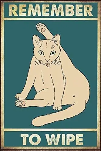 

Не забудьте убрать веселую кошку, белую котенку, уличную фотографию