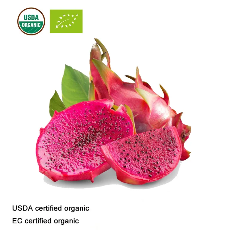 Органический Сертифицированный USDA и EC органический порошок питая фруктового