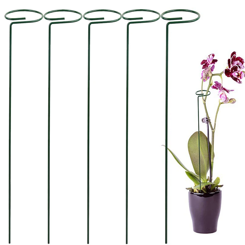 

5 PCS Plant Supports Flower Stand Single Stem Shrub Reusable Protection Gardening Supplies For Vegetable Holder Bracket
