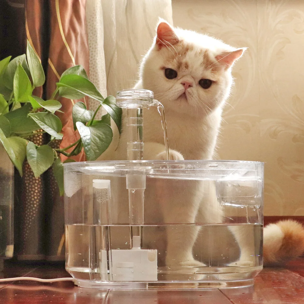 

3.5L Automatic Cat Water Fountain Transparent Kitten Cats Drinker Dispenser Mute Electric Pet Sensor Drinking Feeder For Cats