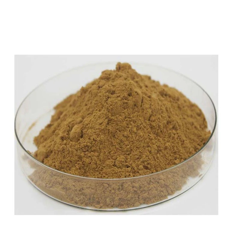 100% Natural 4% Polyphenol Powder Echinacea Extract by Free Shipping |