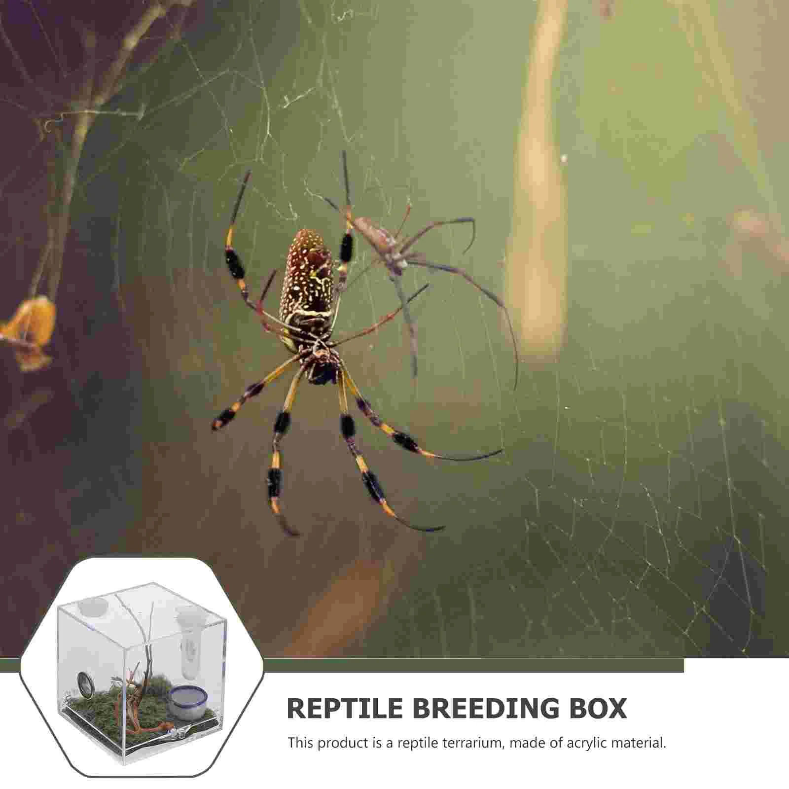 2 компл. ящик для разведения пауков капельница насекомых гостиная среда обитания