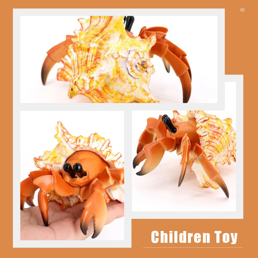 Имитация краба-отшельника детская игрушка модель морского животного