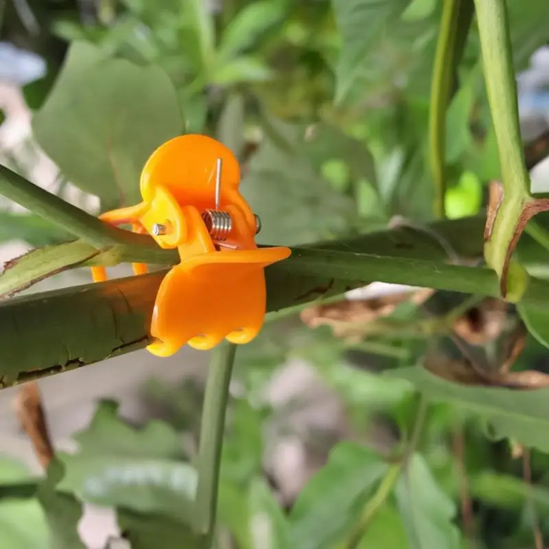 

Красочные зажимы для поддержки растений, прочный пластиковый кронштейн для захвата томатов, орхидеи, многофункциональный вертикальный бонсай, зажим для выращивания цветов в ветке