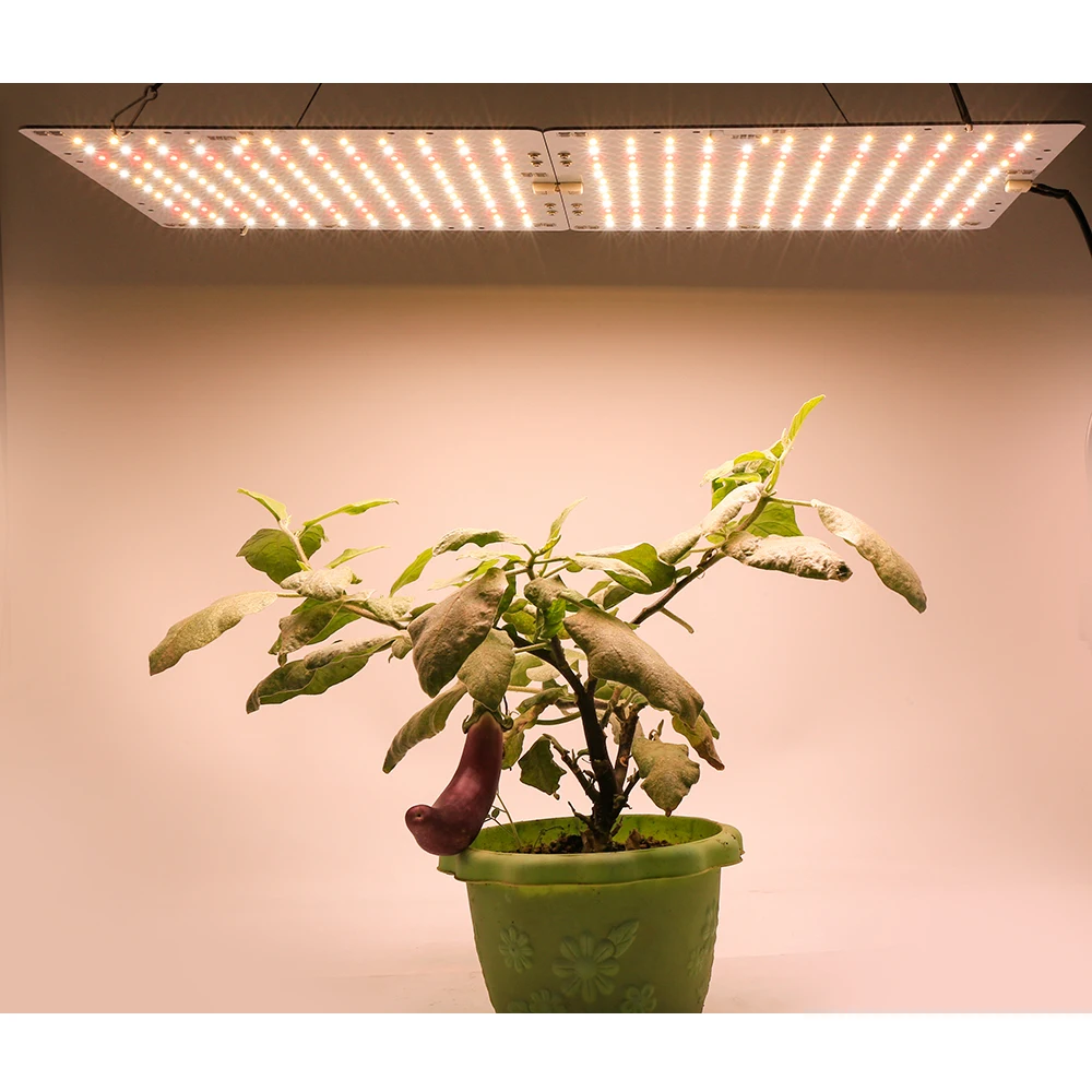 

2000W LED Grow Light Board Phytolamp with Meanwell Driver Full Spectrum Plant Growth Lamp 3000K 3500K 660nm DIY Grow Tent