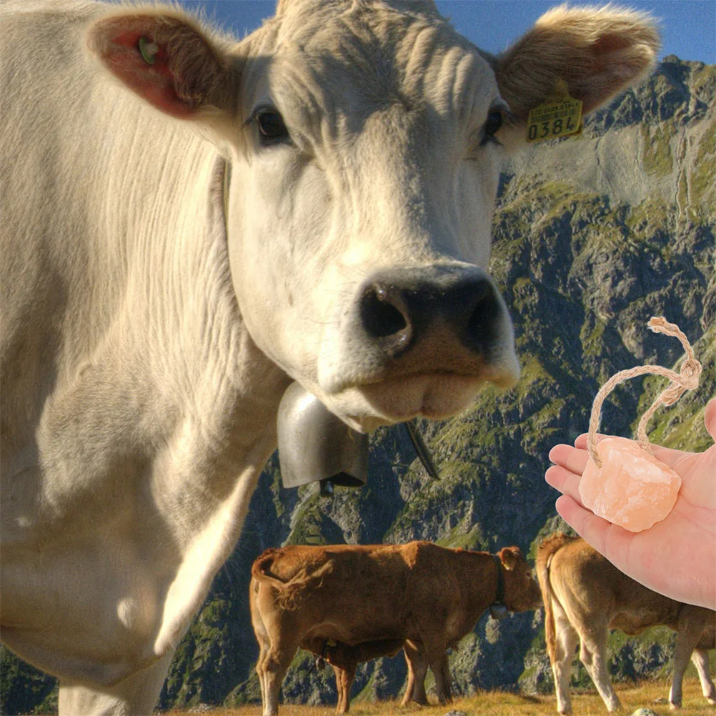 Соляной блок для лизания животных конский крупный рогатый скот и овец блоки