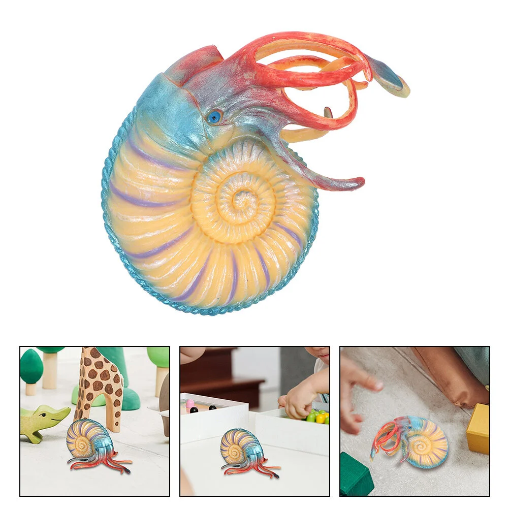 

Simulated Nautilus Simulation Model Kidcraft Playset Marine Animal Ocean Sea Animals Toy Plaything River Snail Children
