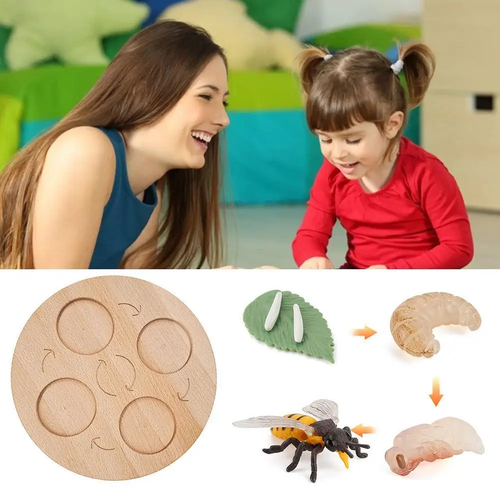 

Montessori Wooden Animal Life Cycle Board Kids Toys Teaching Simulation Animals Growth Cycle Model Lovely Baby Gift Educational