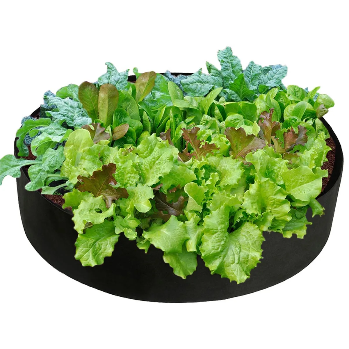 

Raised Planting Bed Round Reusable Garden Grow Bag Planter for Flower Vegetable Plants Raised Planting Bed Raised Planting Bed
