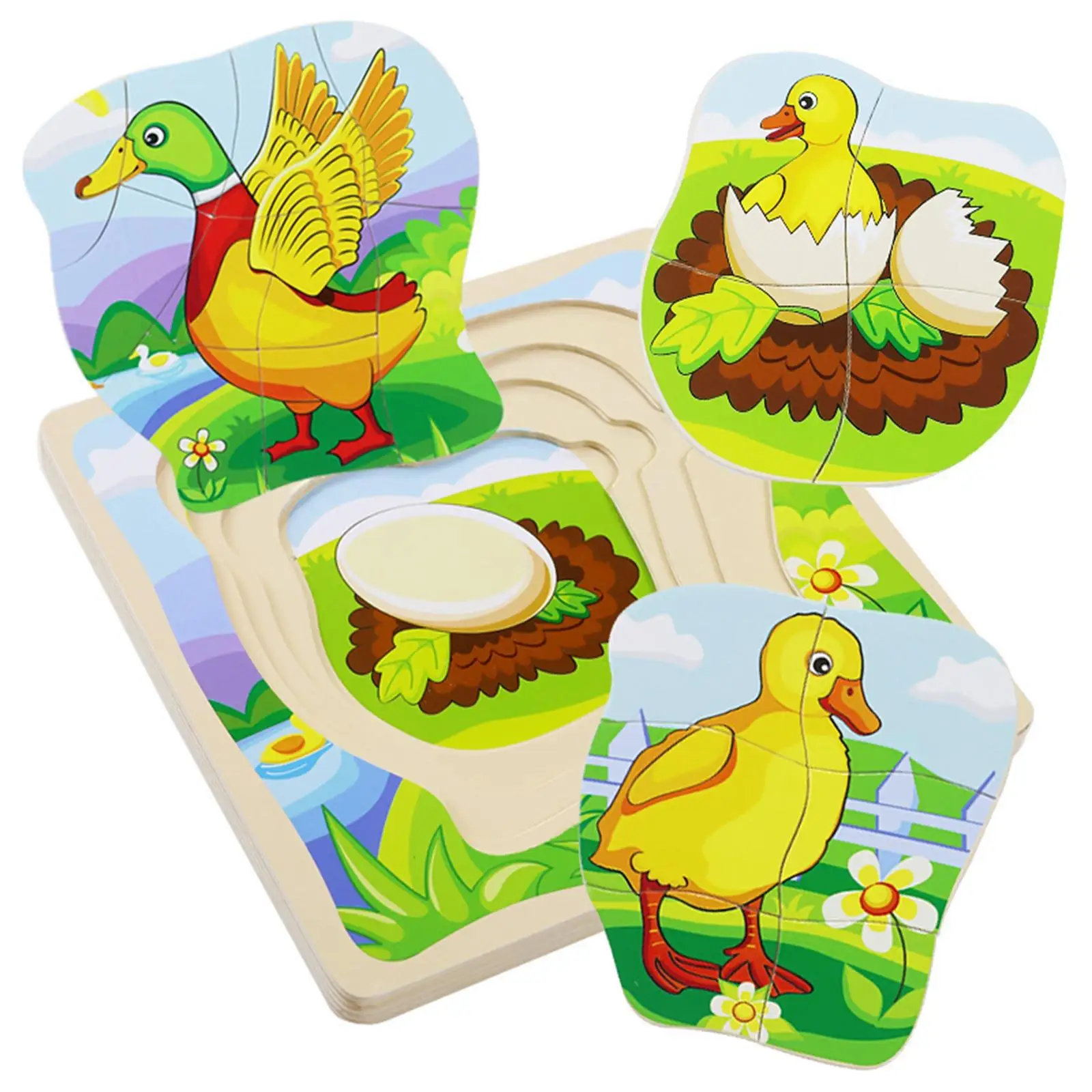 

Wood Duck Life Cycle Puzzle Animal Growth Cycle Puzzle Preschool Infant Science