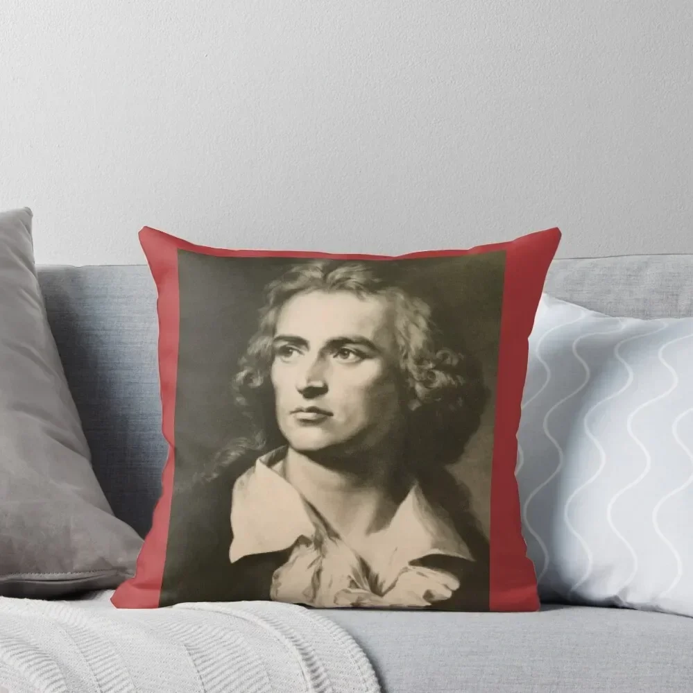 Красивый портрет Фридрих Шуллера наволочки для диванов рождественские спальные