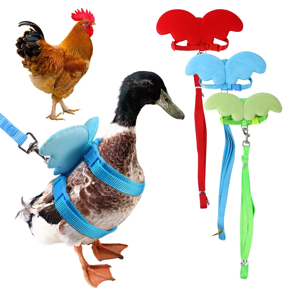 Chicken Little Angel Wings Harness Chest Strap Leash Set Traction Rope Duck Goose Breast Strap Outing Pet Supplies Accessories