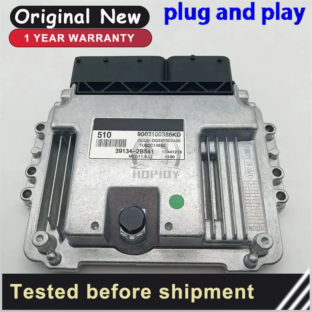 

Computer Control Unit Board ECU 39134-2B541 510 MEG17.9.12