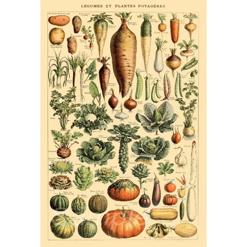 

Печать на холсте "Винтажные животные"