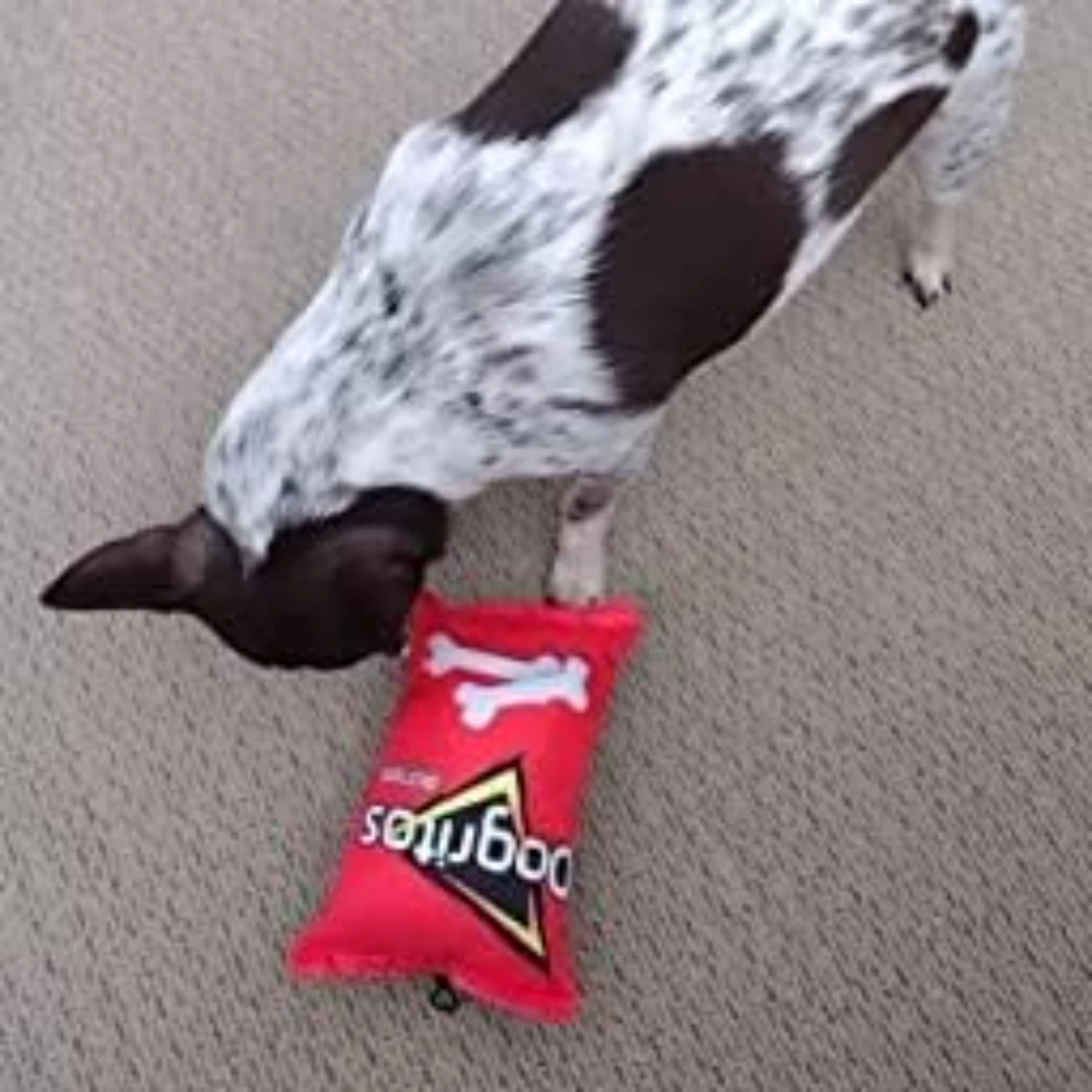 Занимающая игрушка для собак DOGRITOS с забавной пародой от маленьких и средних