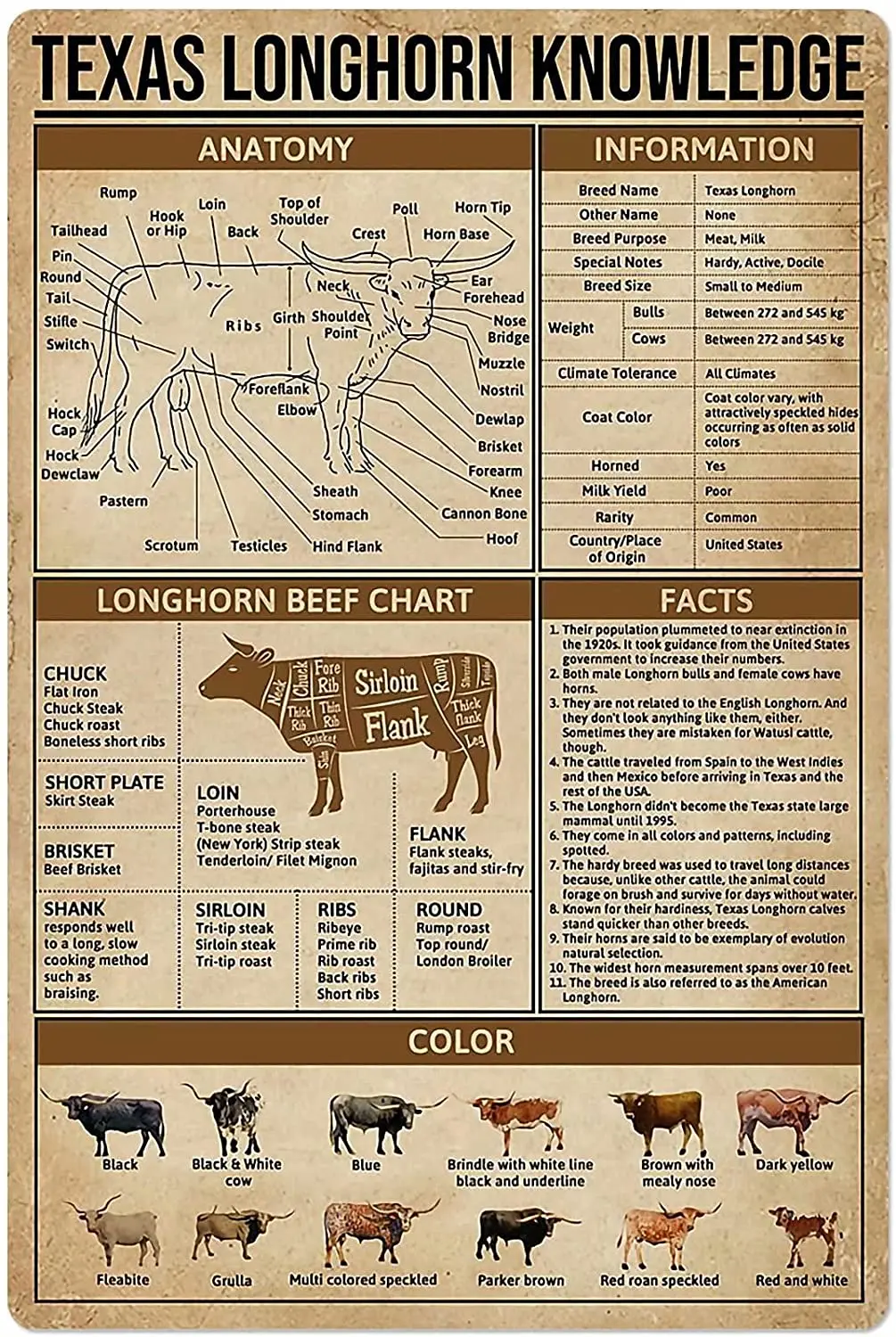 

Cattle Knowledge Metal Tin Sign Texas Longhorn Anatomy Poster Animal Farm School Education Club Wall Decoration Plaque