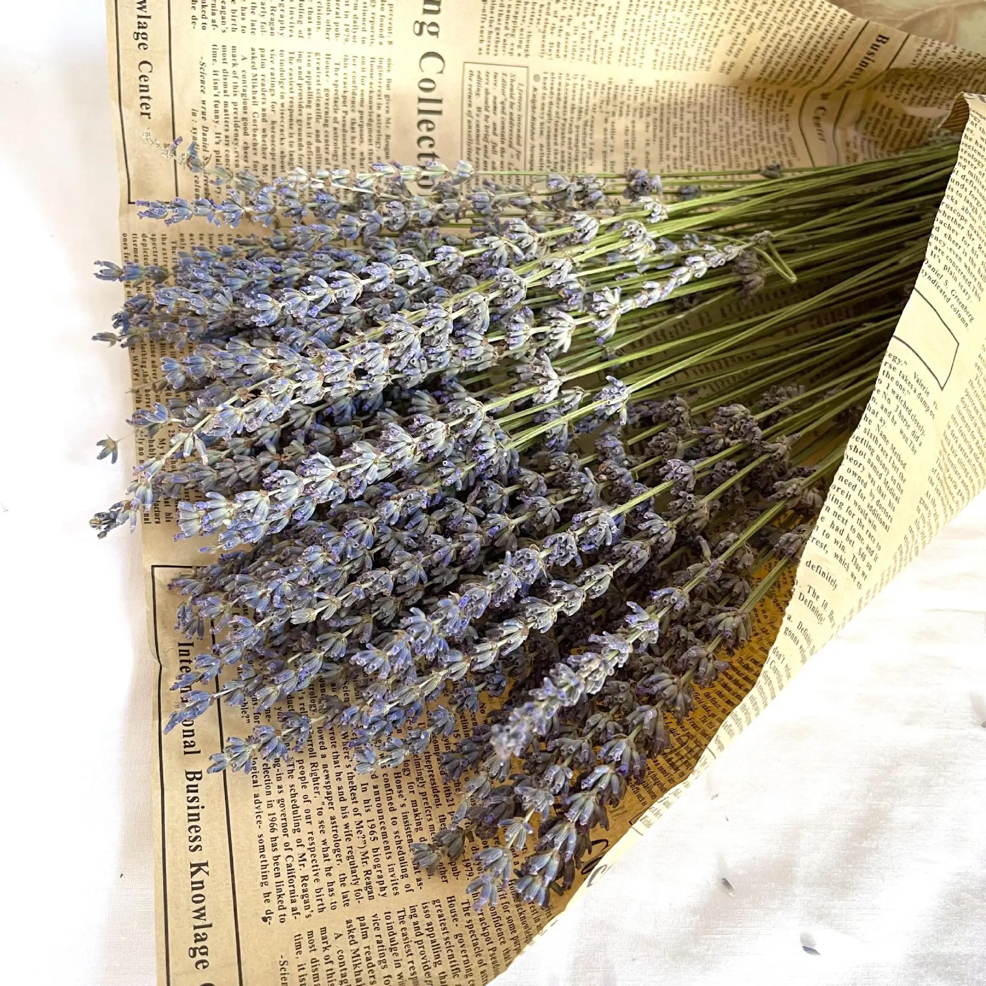 

Lavanda natural secado de flores para festa de casamento diy arranjo flores imortais jardim sala estar