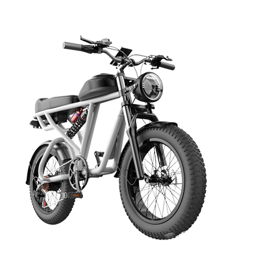 

48V Electric Bicycle 20 Inches Riding Lithium Battery Variable Speed Anti-Skid Wear Resistance Hydraulic Disc Brake