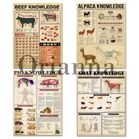 pig knowledge poster goat knowledge poster beef knowledge poster alpaca knowledge poster wall art print home decor gift