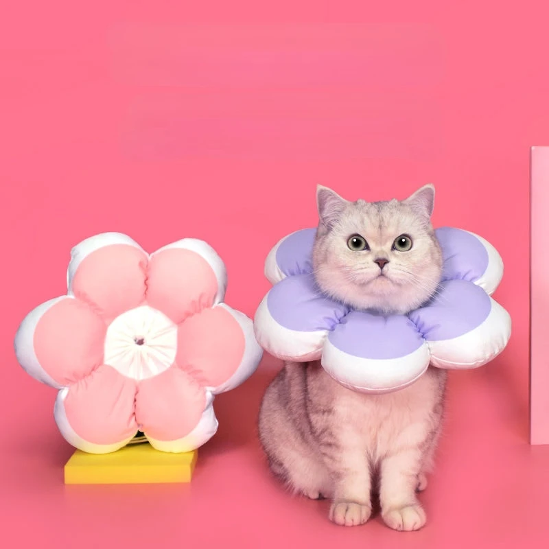 

Waterproof Elizabeth Ring Cat Pet Sterilization Cat Collar Anti-licking Adjustable Cat Collar Headgear Shame Ring