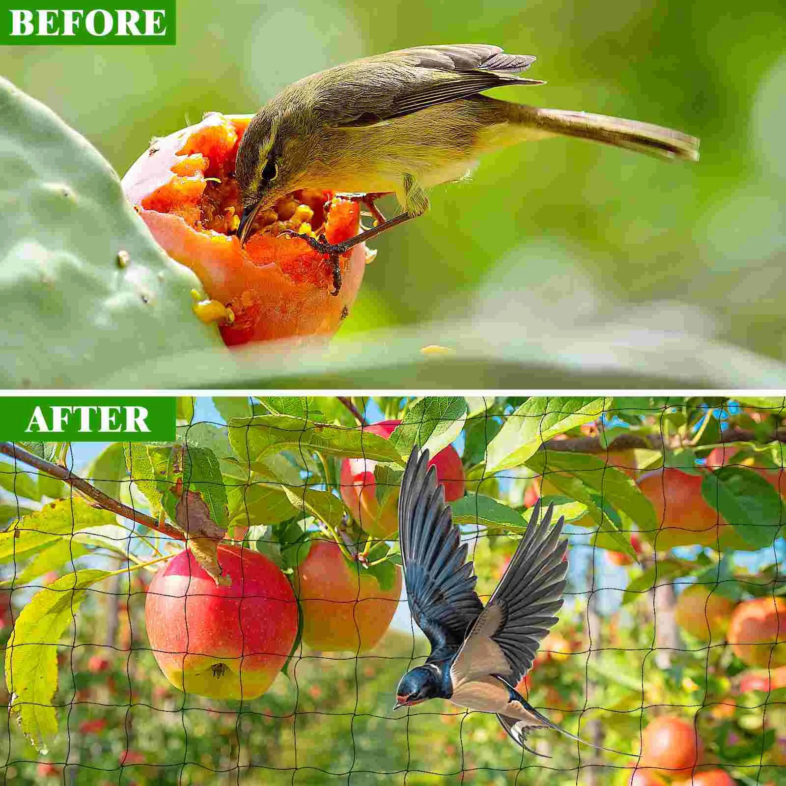 Нейлоновая сетка для птиц защиты растений курятника от животных защита