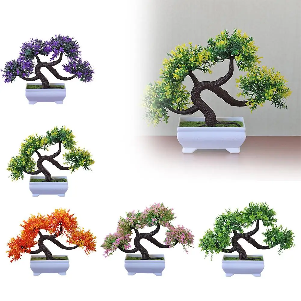 Семейный дракон бороды дерево бонсай приветственное украшение из сосны