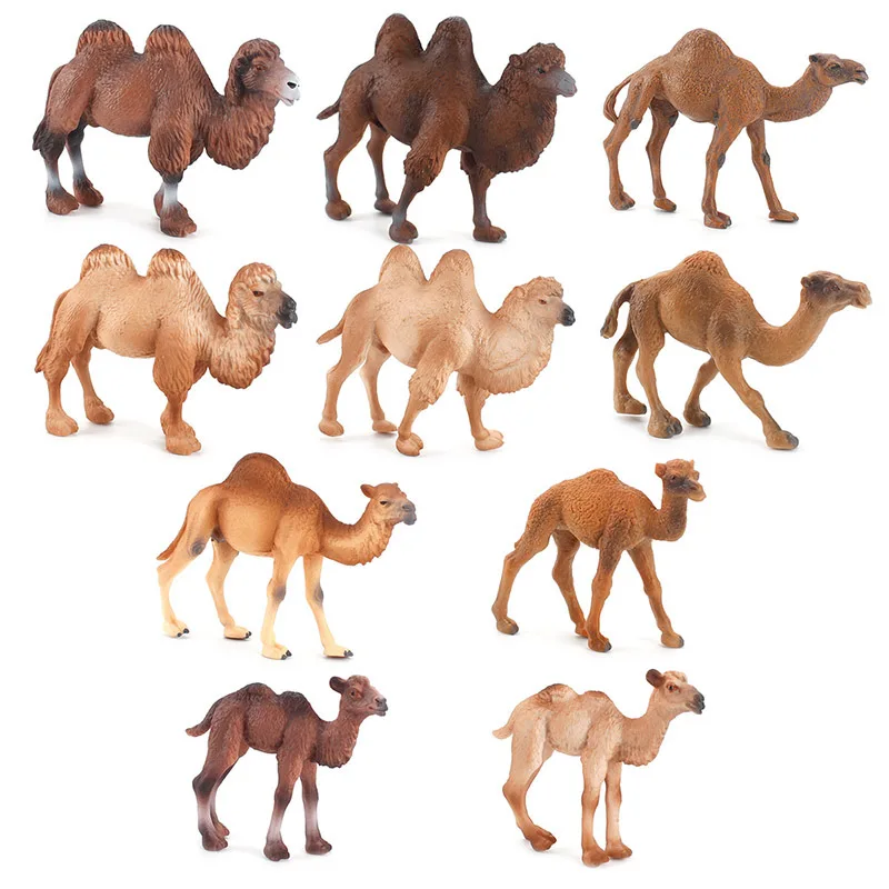 

Simulation Desert Camel Model Zoo Wildlife Figurines Bactrian Camel Arab Dromedary Action Figure Kid Collection Educational Toys