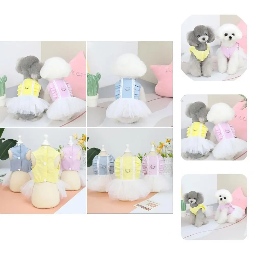 

Vivid Color Cute Pet White Mesh Dress Ornamental Dog Dress Lovely for Puppy