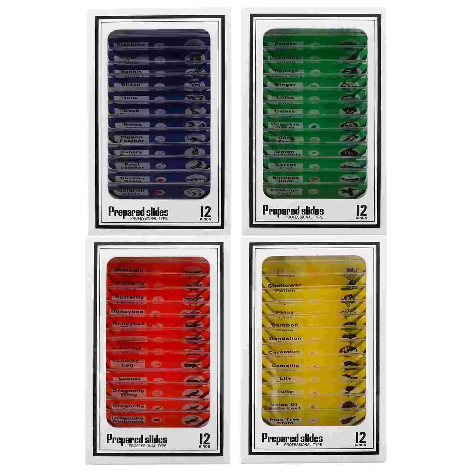 

48 Pcs Microscope Slides for Children Science Experiment Biological Specimen Set