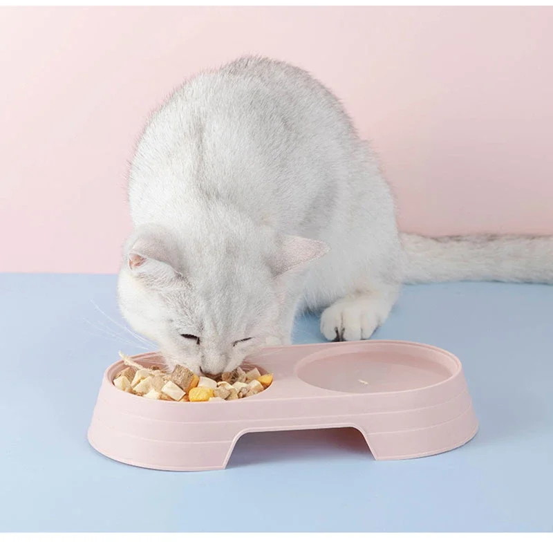 

Pet Double Bowl Macaron Dog Cat Feeder Plastic Kitten Puppy Food Drinking Tray Feeding Pet Supplies Cuenco Para Gatos
