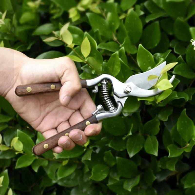 

Electric Pruning Shears 4.5cm Opening Optional Extension Rod 36V Lithium Battery Power Tools Gardening Fruit Tree Big Scissors