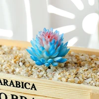 1pc artificial succulents plant garden potted wedding parties 1 piece colourful for home creative decoration furnishings craft
