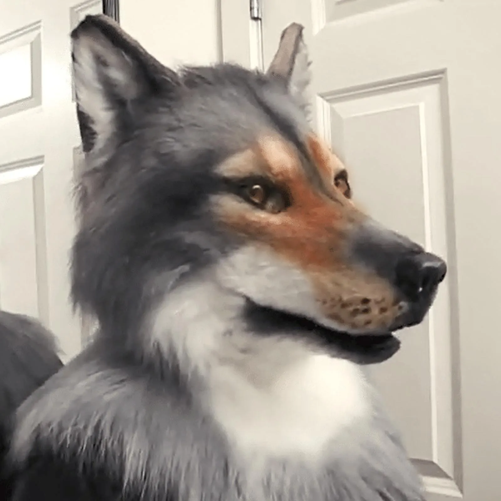 Маска для косплея Werewolf